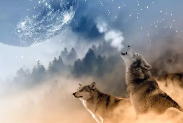 你喂员工吃草，却指望他们有狼性？