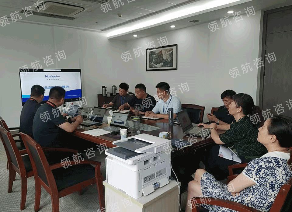 本月LSWL项目战略定位辅导会议持续进行中