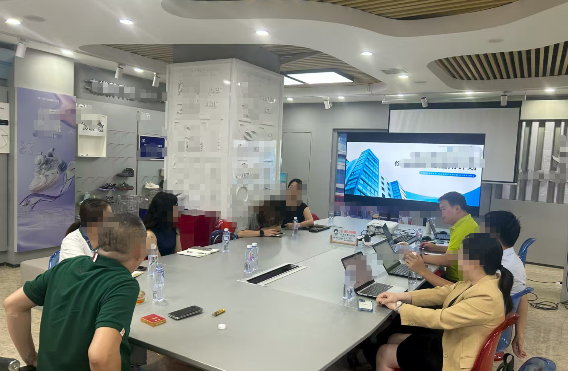 晋江某鞋服企业论证会