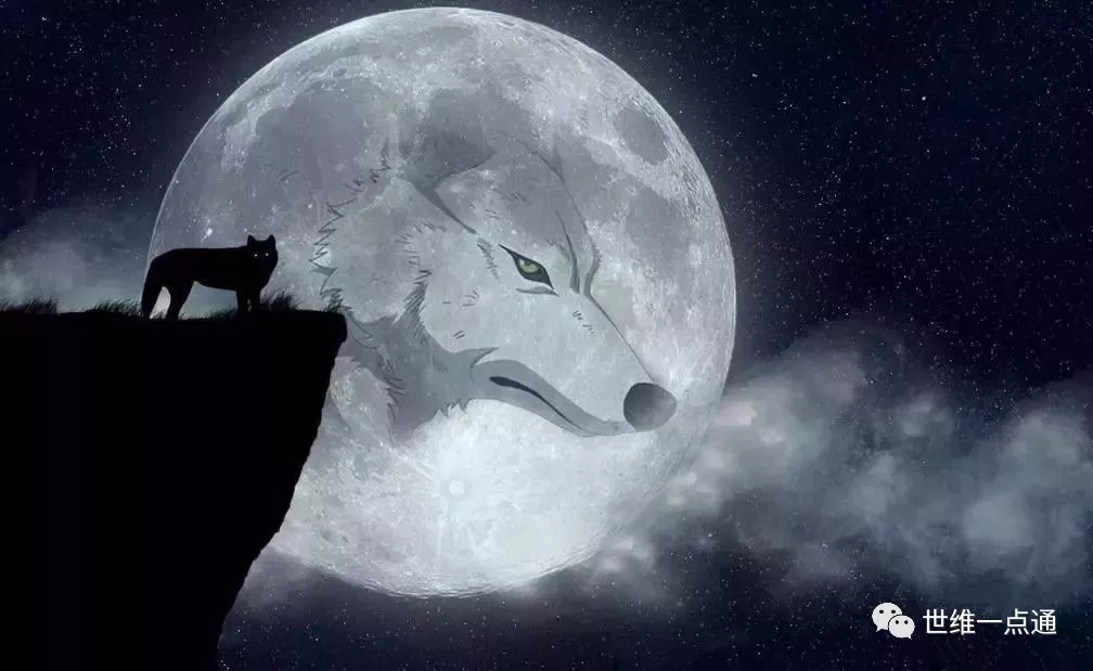 1530513588104722.jpg 640.webp (1).jpg